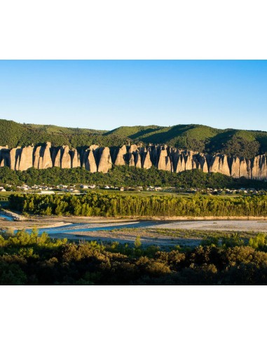 Huile d'Olive Intense - Oliviers Centenaires