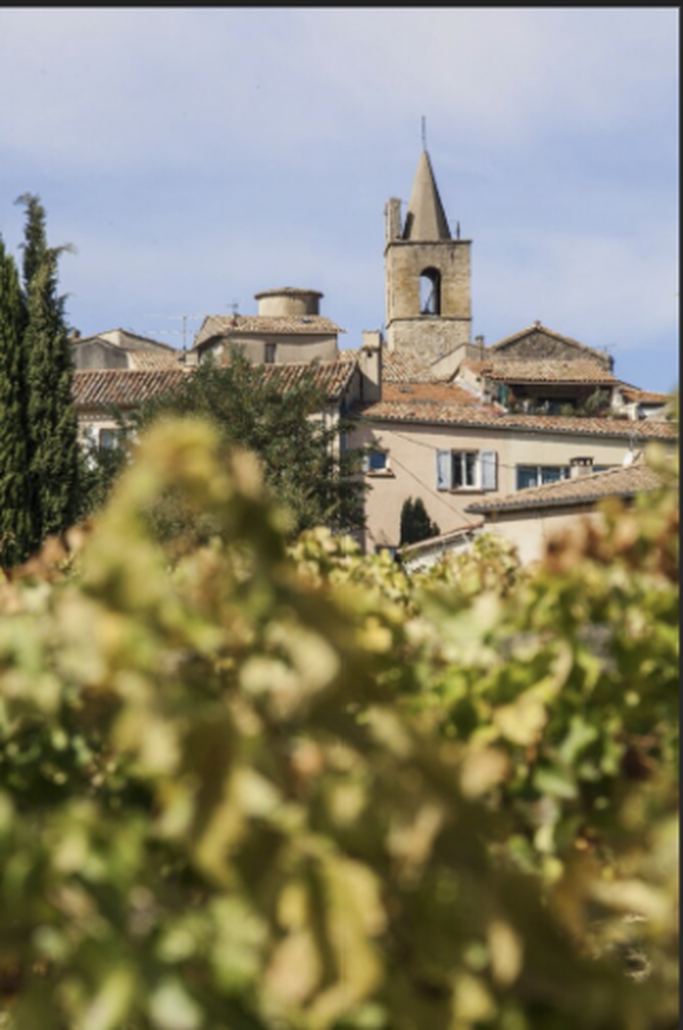 Confiture et compote en pots en verre artisanales et Proven&ccedil;ales - artisanat local