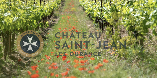 Château Saint-Jean Lez Durance
